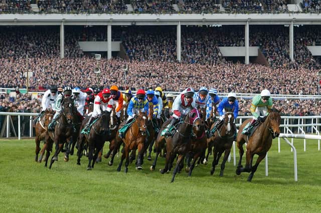 The Cheltenham Festival starts next week