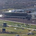 It's day two of the Cheltenham Festival on Wednesday