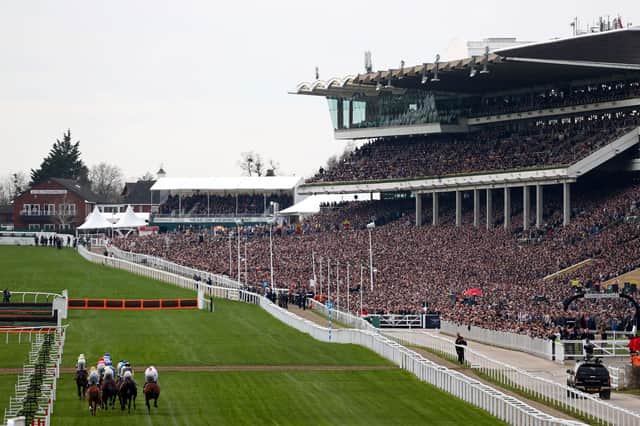 The Cheltenham Festival continues
