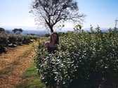 Bilsborrow-based Levity CropScience said it has seen 40 per cent growth in sales this year
