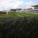 The Grand National Festival starts on Thursday at Aintree