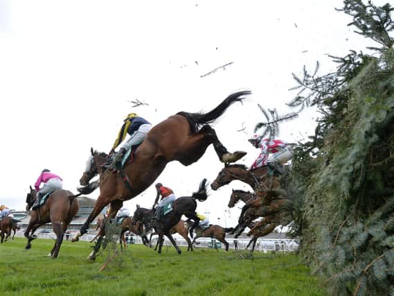 The Grand National takes place at Aintree on Saturday