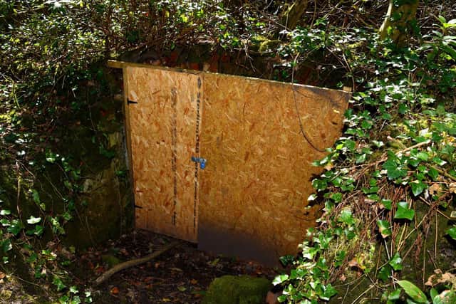 Part of the dangerous tunnel has been boarded up, possibly for roosting bats