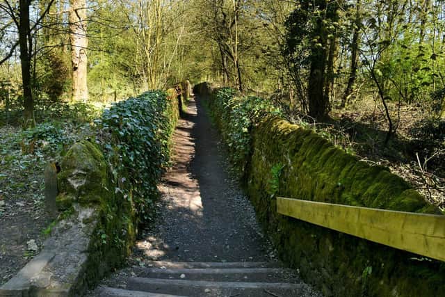 The cinder path in Cuerden Valley Park