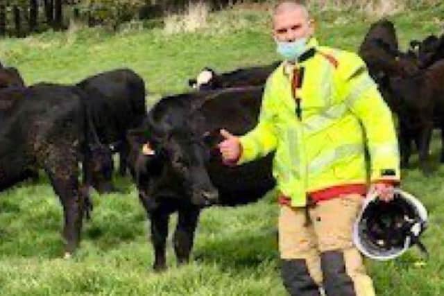 Firefighters rescued a cow from the Lancaster Canal on Tuesday afternoon (April 20)