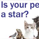 Enter our Top Pet competition and you could win a £50 Pets at Home voucher