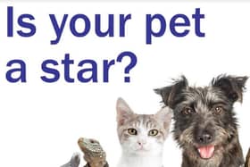 Enter our Top Pet competition and you could win a £50 Pets at Home voucher