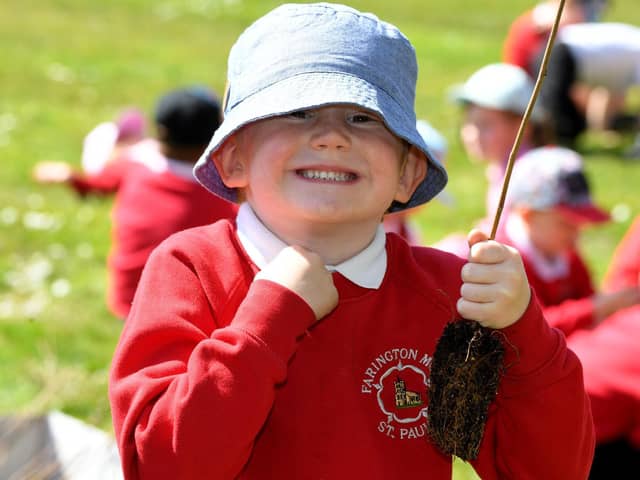 A Farington Moss pupil holds one of the saplings to plant on the school field, photo: Neil Cross.