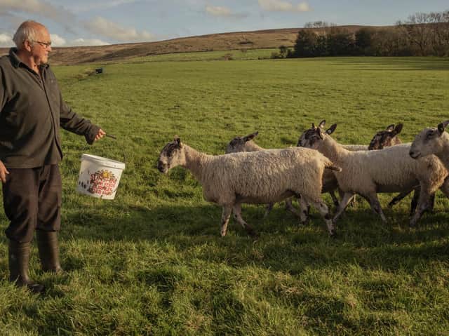 A HERD farmer near Scorton