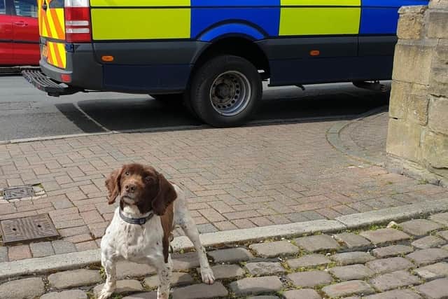 PD Jerry sniffed out the suspicious packages