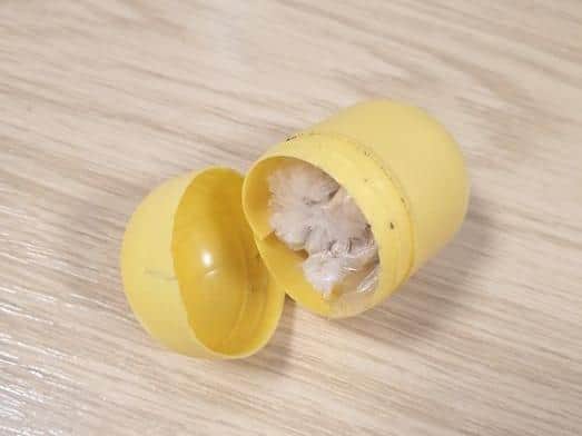 Class A drugs were found hidden inside a Kinder Surprise egg whilst carrying out a stop and search on a suspect in the Broadgate area of Preston on Tuesday evening (May 4). Pic: Lancashire Police