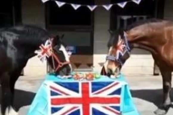 Sue Scholey shared this photo of Wakefield Riding for The Disabled ponies Baxter and Bobby enjoying afternoon tea!