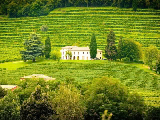 ‘Sometimes it’s the angle of the slope in a specific spot, or the grapes are along the outside edge of the vineyard and are kept cooler by the breezes, but they all show some common regional similarities and a little of the winemaker magic’Picture: JORG PETER/PIXABAY