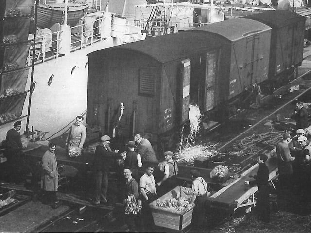 Unloading bananas by conveyor belt into railway wagons on the south side of Preston dock circa 1960