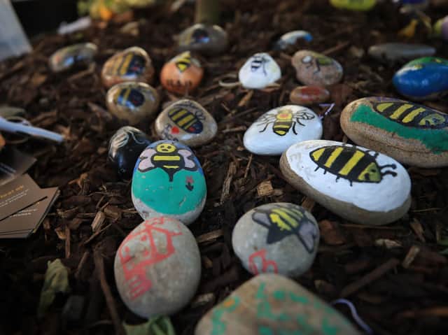 Bees painted on stones left in tribute to all the victims of the Manchester Arena terror attack placed in Manchester.