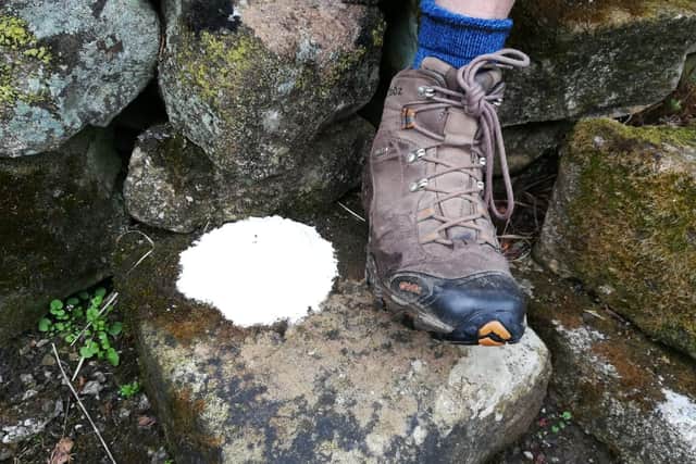 Blobs of flour are often used by 'Hashers' to set trails. Photo courtesy of Lune Valley Hash House Harriers.