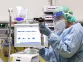 Coronavirus is going to do “weird” things going forward