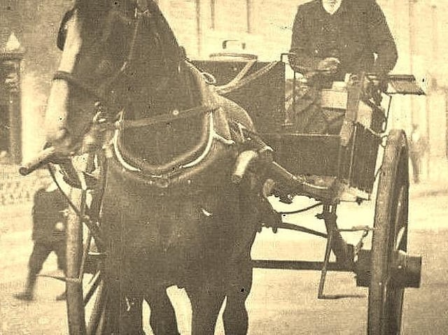 Farmers and their horse and cart were a common sight