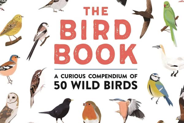 The Bird Book: A curious compendium of 50 wild birds
