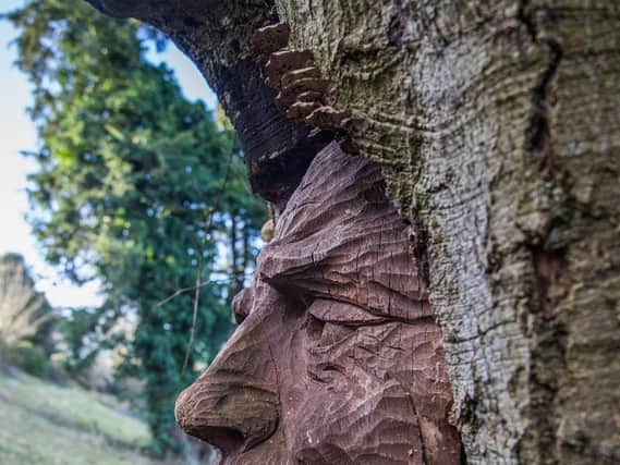 The Ribble Valley Sculpture Trail features 22 unique carvings, among them Two Heads in a Tree