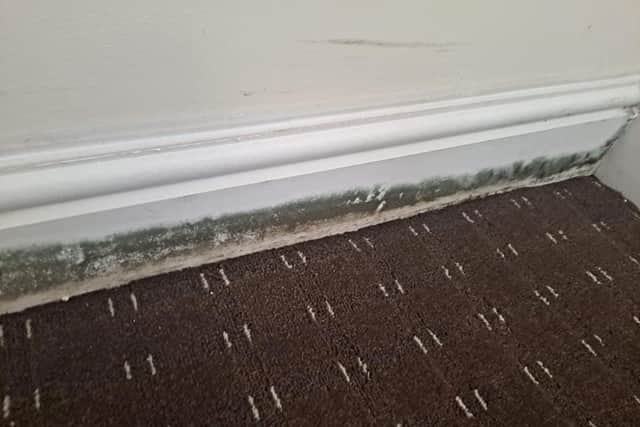 Mould formed on her skirting boards in the Leyland apartment