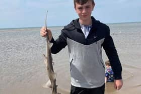 Manchester mum Jenny Fowler said her children found a baby hound-shark on the beach in Bispham yesterday (Wednesday, June 2) whilst holidaying for the half-term. Pic: Jenny Fowler