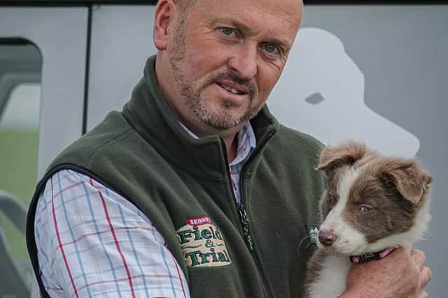 The little sheepdog broke the record for most expensive untrained sheepdog bought at auction.Dave Swinburn Photography.