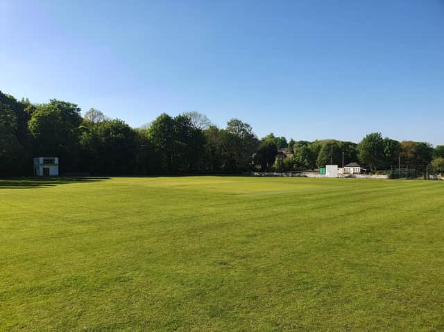 Cricket, lovely cricket