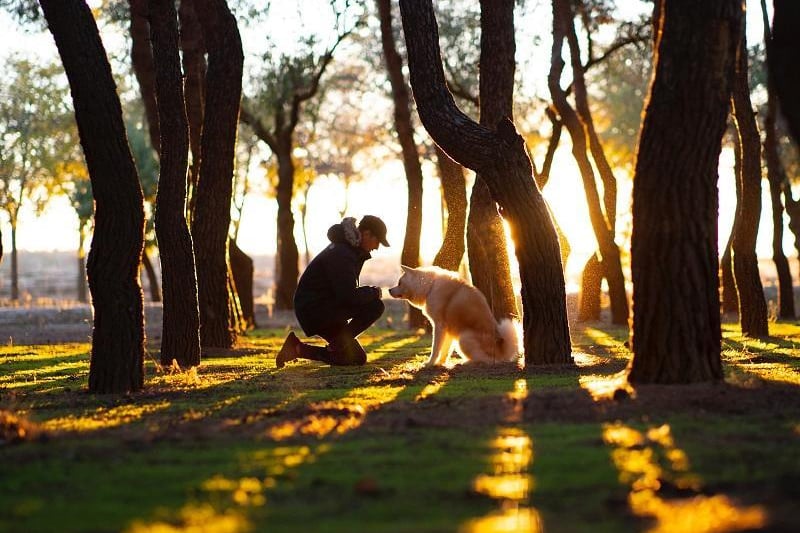 There couldn’t be a better time to explore Lancashire with our dogs