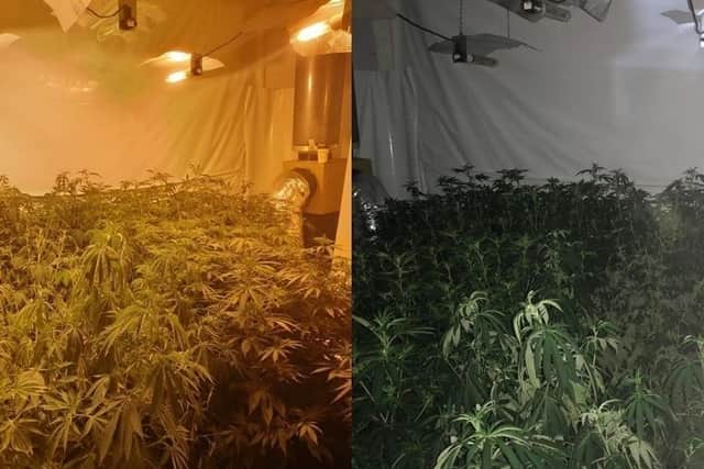 Police said around 200 cannabis plants had been found and the electricity had been bypassed. (Credit: Lancashire Police)