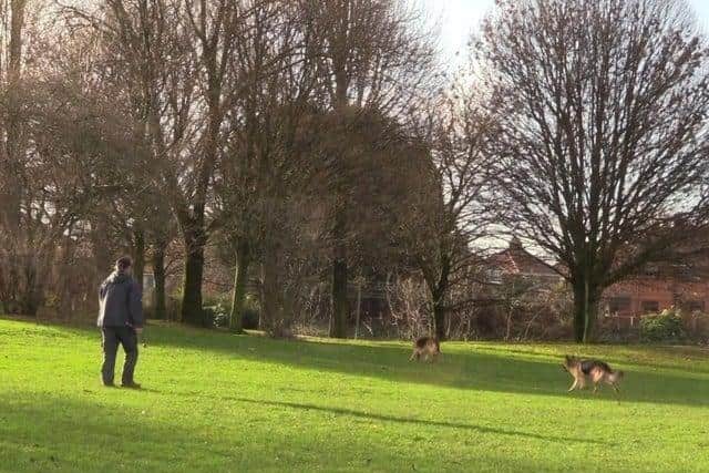 The playground sits within a park off Bent Lane