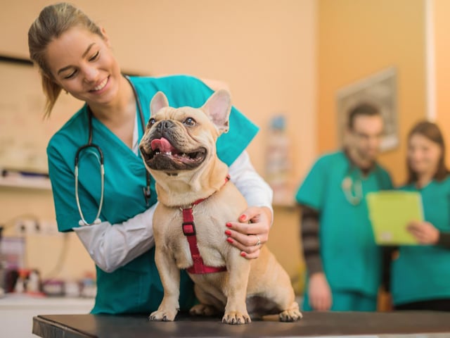 The new Veterinary School will be Based at UCLan's Preston Campus.