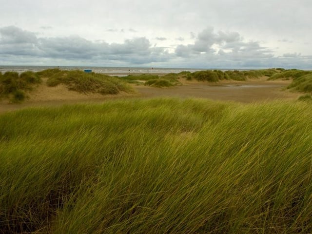 Mr Hedley was fined after a walk on Ainsdale Beach