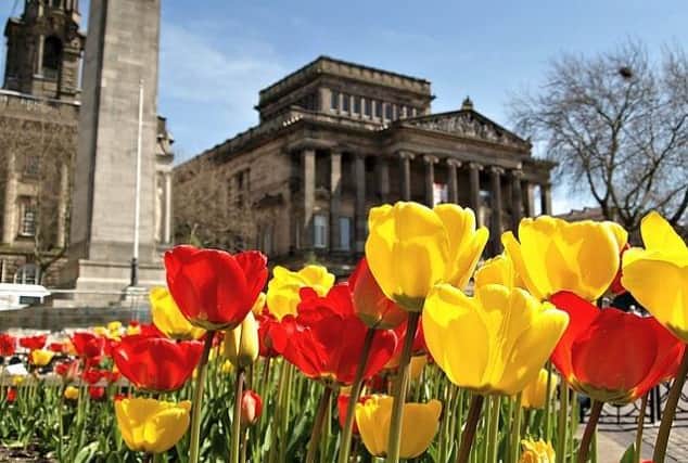 One of Tony's most recent photographs - a striking image of spring tulips in Preston city centre.
