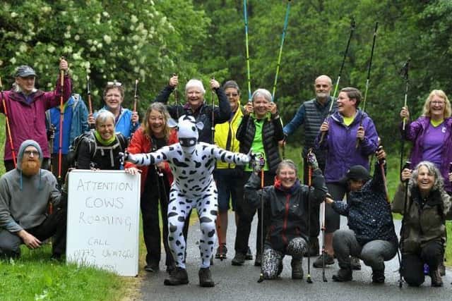 The idea was set to tackle the walker's fears of cows