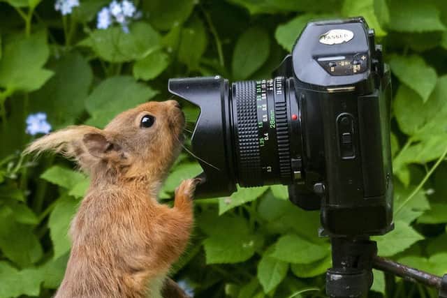 Have you taken a great photo?