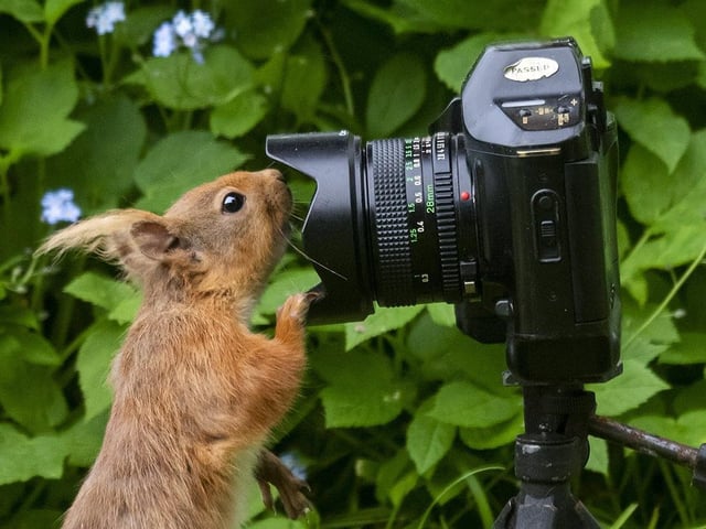 Have you taken a great photo?