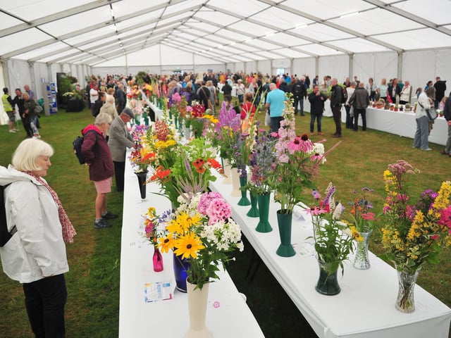 Scenes from the 2019 show