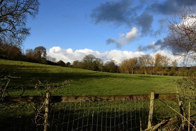 Part of the green field where the developer hopes to build a snail farm and holiday chalets