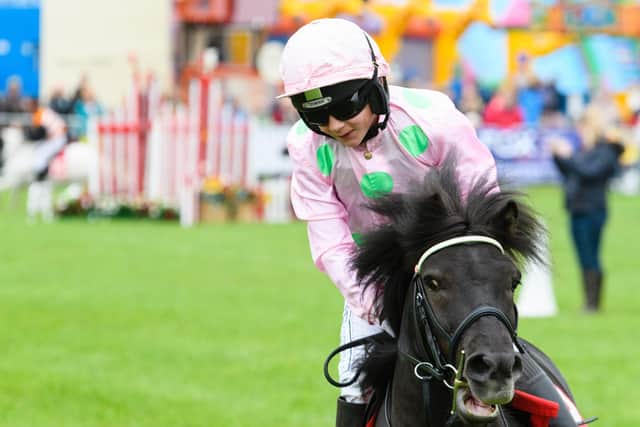 Action from the Shetland Pony Grand National at the the Royal Lancashire Agricultural Show 2021. Photo: Kelvin Stuttard