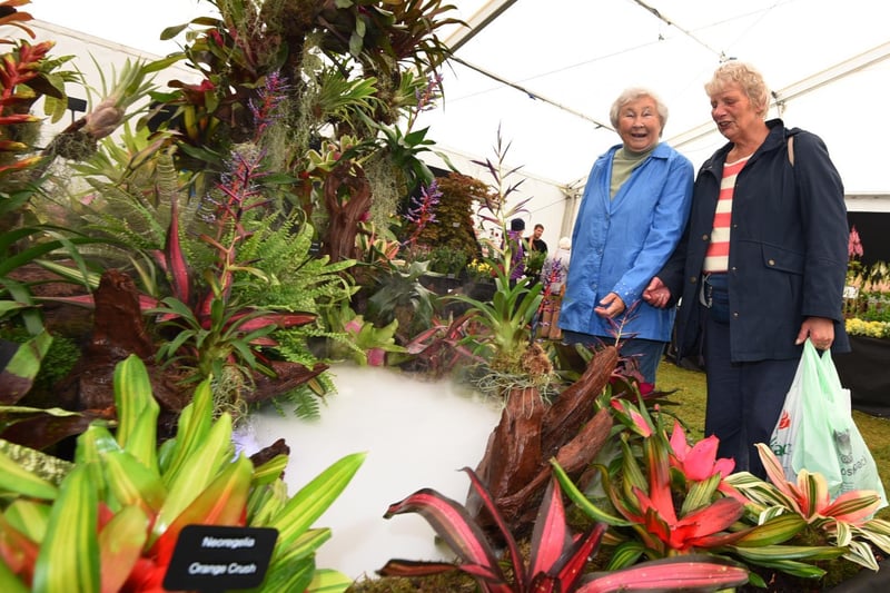 Visitors admire the tropical floral displays.