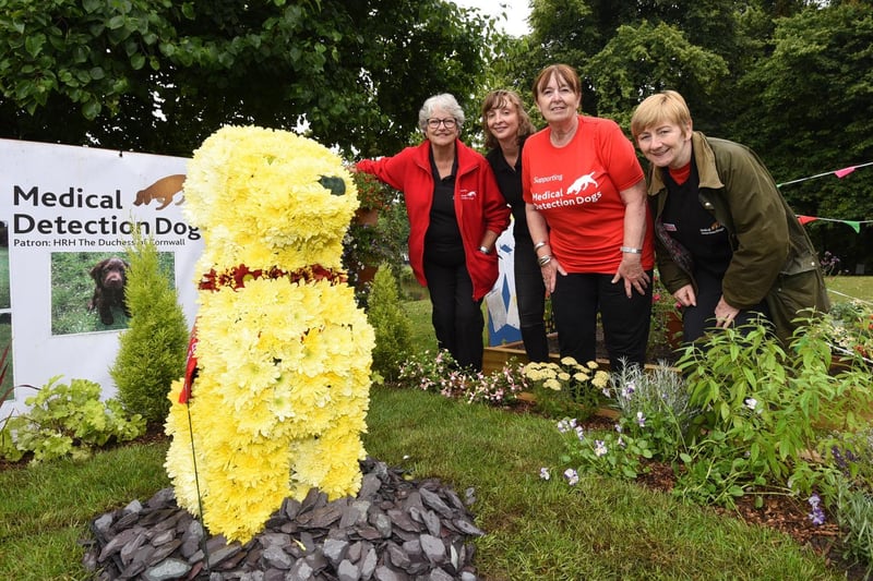 Medical Detection Dogs floral display, from left, Pauline Lowther, Pauline Miller, Ann Bull and Karen Alty.