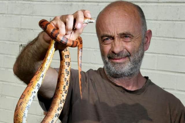 Finding snakes is 'common and anticipated' each year by animal experts