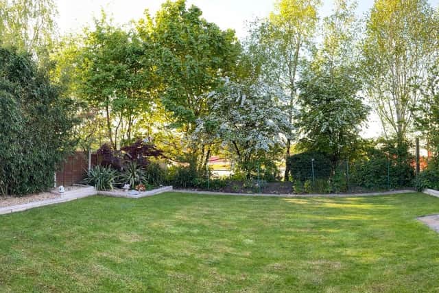 The 'before' shot showing the trees and vegetation screening Ivy Close gardens from the new development