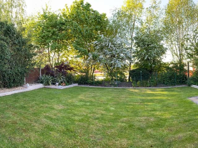 The 'before' shot showing the trees and vegetation screening Ivy Close gardens from the new development