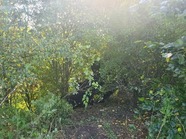 The car came to rest on its roof in the bushes (Photo: Lancs Road Police).
