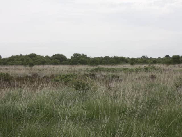 Winmarleigh Moss