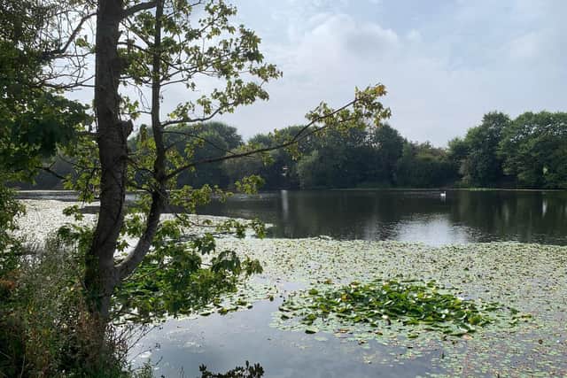 Picnic spots and viewing points could be created overlooking Lake Wood Reservoir