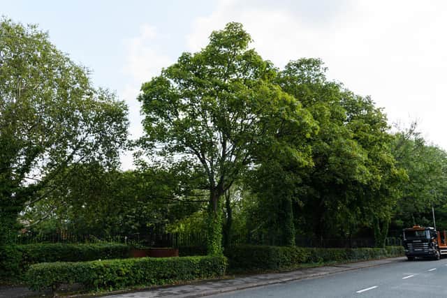 Woodland has been decimated around St Andrew's CofE Primary in Ashton, Preston