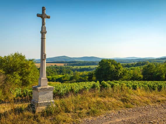Uchizy is one of 27 villages which can add their name to the Mâcon appellation-you’d see Mâcon-Uchizy on a label Photo: BIVB/ Aurélien IBANEZ